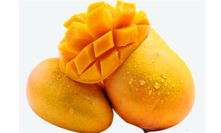 芒果切开后能放多久