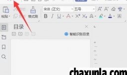 WPS表格如何设置打开密码