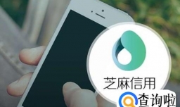 2018年最新快速提高芝麻信用分秘诀