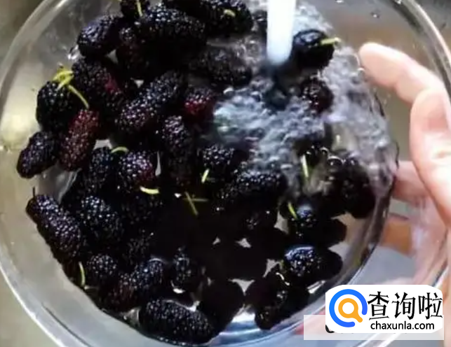 正确清洗桑葚的方式