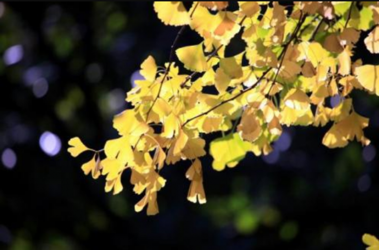 为什么立秋了还那么热