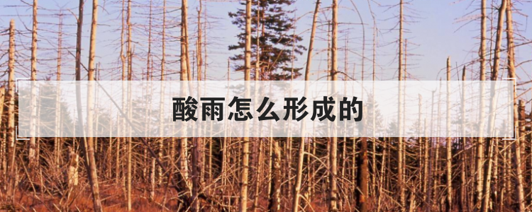 酸雨怎么形成的