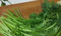 茼蒿菜怎么做?