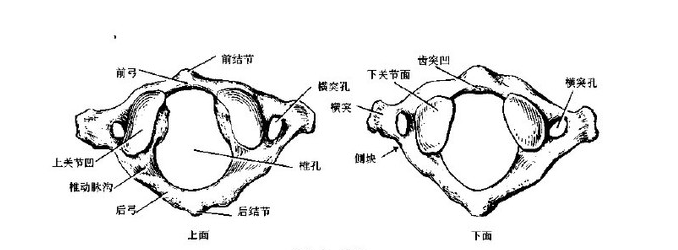 扭脖子杀人原理