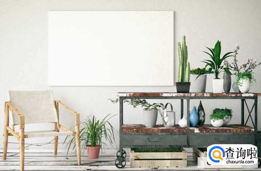 黑种草的养殖方法是怎么样的