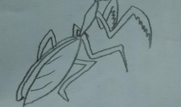 简笔画螳螂怎么画