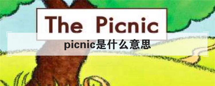 picnic是什么意思