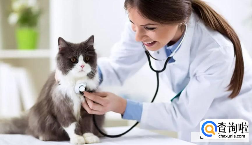 宠物医生一般要学几年