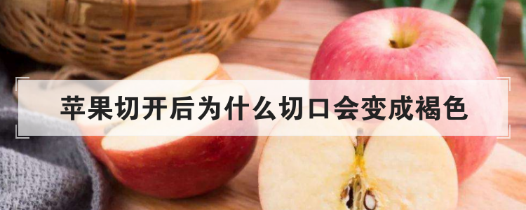 苹果切开后为什么切口会变成褐色
