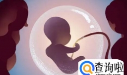 女人喝豆浆可以提高受孕？