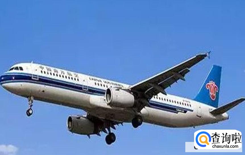 航班如何托运宠物