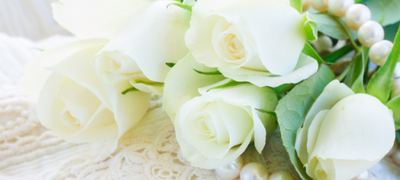 白玫瑰代表什么