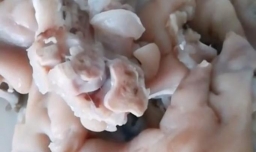 抓钱猪猪手怎么做