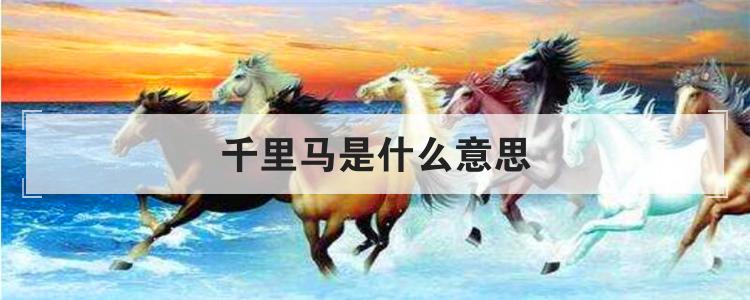 千里马是什么意思