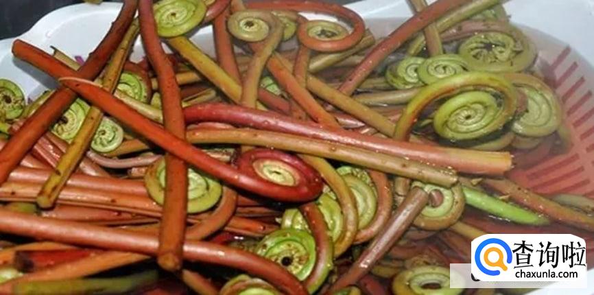 蕨菜的食用方法有哪些