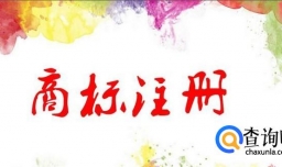 企业进行商标注册有哪些标志不可注册商标？