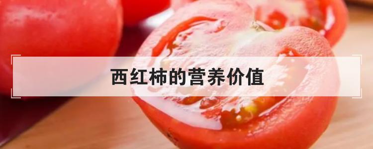 西红柿的营养价值br
