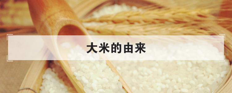 大米的由来