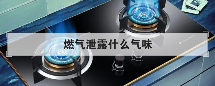燃气泄露什么气味