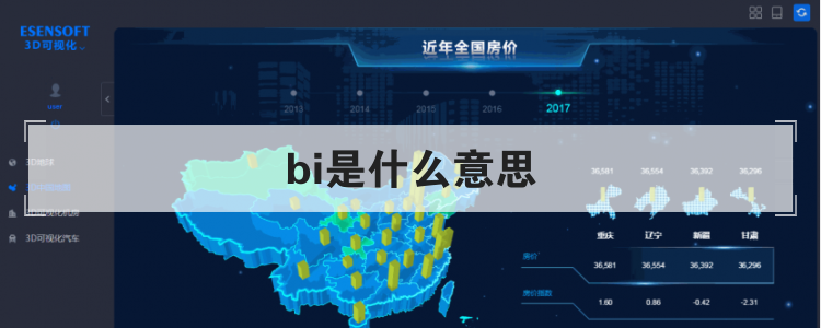 bi是什么意思