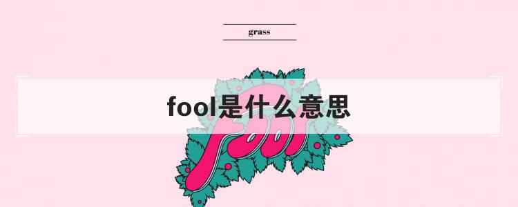 fool是什么意思