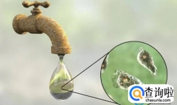 男子用自来水洗脸感染食脑虫死亡，如何预防？