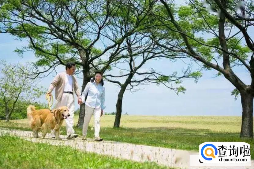 散步可以增强免疫力么