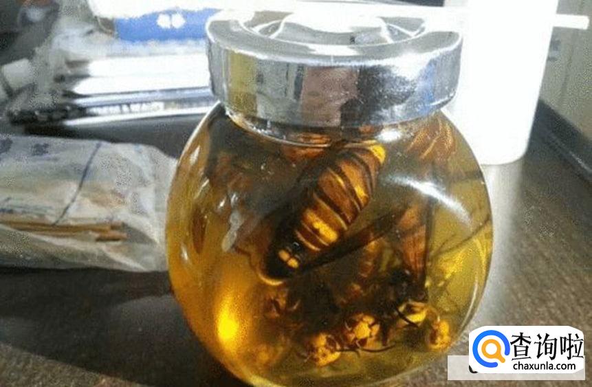 黄蜂泡酒的作用和功效