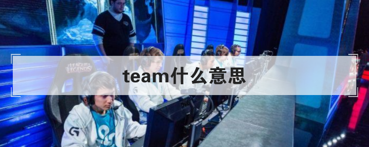 team什么意思