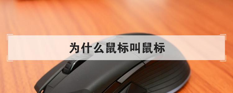 为什么鼠标叫鼠标
