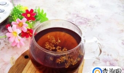 夏季有哪些解暑的饮品