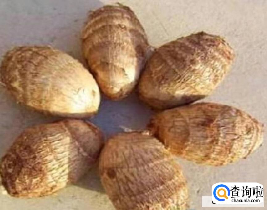 去于芋头皮手痒怎么办