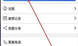 湘税社保未支付订单如何继续支付