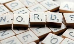 sub是什么意思？