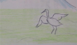 青山绿水白鹭简笔画