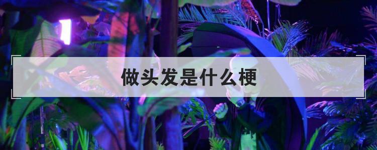 做头发是什么梗