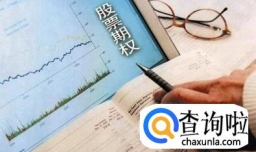 股票期权如何操作交易？