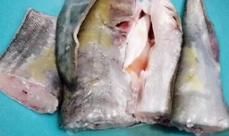 鲶鱼炖茄子的做法