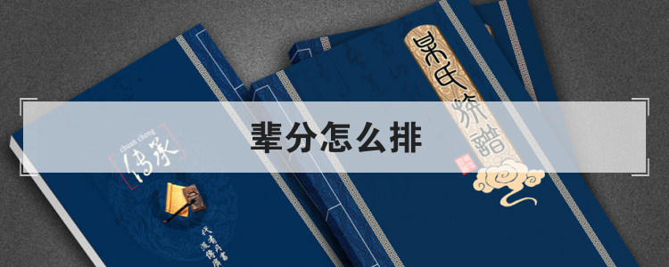 辈分怎么排