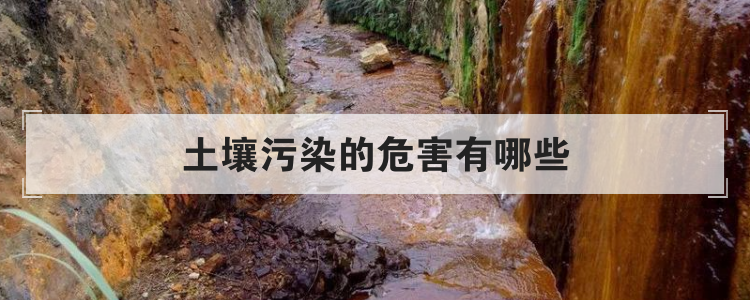 土壤污染的危害有哪些