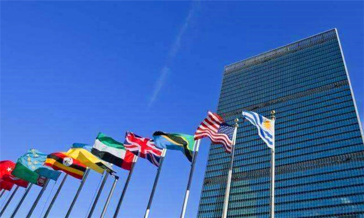 联合国总部设在美国的什么市