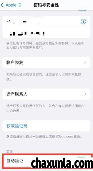 iPhone14怎么开启自动验证功能