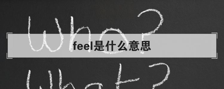 feel是什么意思