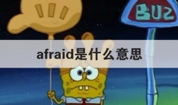 afraid是什么意思