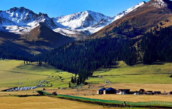 面积最大的省是哪里