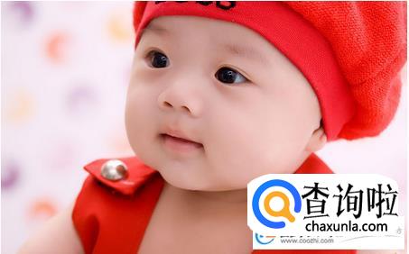 樊姓名字大全,姓樊的名字大全