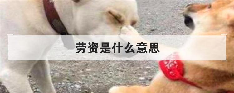 劳资是什么意思