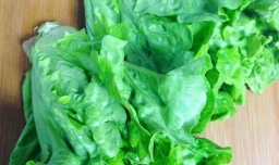 水炒生菜的家常做法