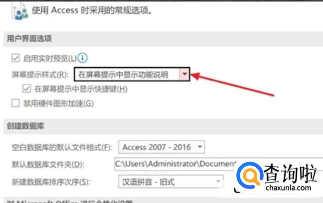 Access如何设置在屏幕提示中显示功能说明