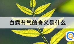 白露节气的含义是什么